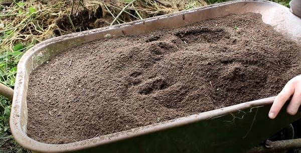 A wheelbarrow full of 5 years leaf mold