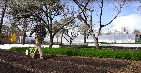 A man in a garden sowing seed on a garden bed